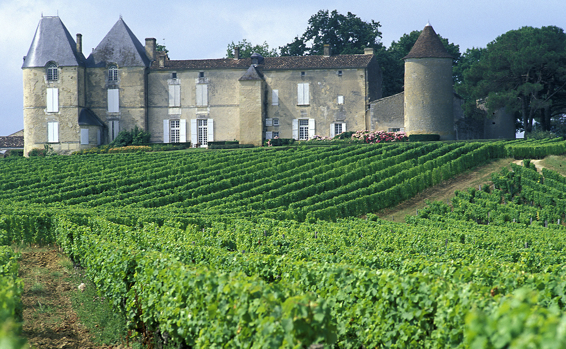 Château Yquem, Sauternes. Vignoble de Bordeaux, Gironde © BROCHARD CRTNA